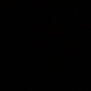 Meet your Posher, Luis